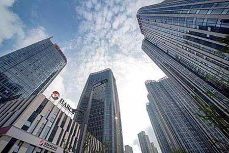 露露财经直播：实时解析财经热点